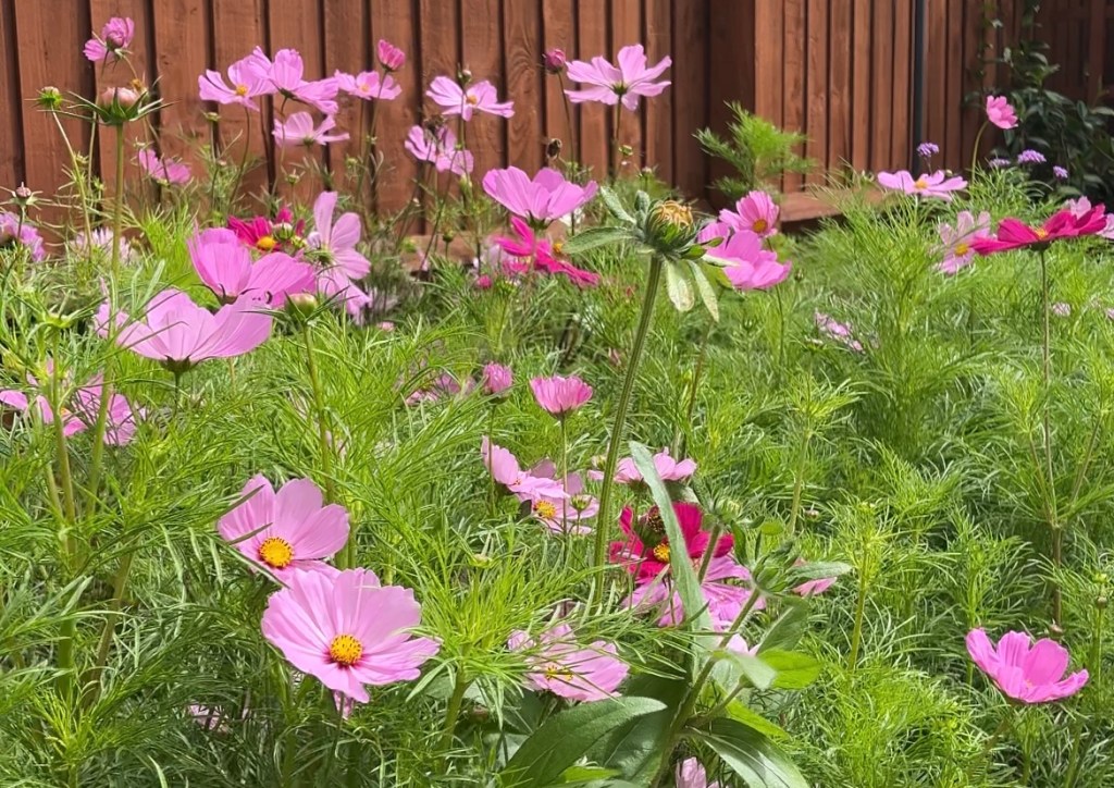 wedding flowers Dewsall Court, wedding florist Dewsall Court, wedding flowers Calne Church, wedding florist Calne Church, wedding flowers Long Fox Manor, wedding florist Long Fox Manor, wedding flowers The Holford Arms, wedding florist The Holford Arms, wedding flowers Tetbury, wedding florist Tetbury, wedding flowers Owlpen Manor, wedding florist Owlpen Manor, wedding flowers Kin House, wedding florist Kin House, wedding flowers Old Gore Barn, wedding florist Old Gore Barn, wedding flowers Manor by the Lake, wedding florist Manor by the Lake, wedding flowers Matara Centre, wedding florist Matara Centre, wedding flowers Sugarloaf Barn, wedding florist Sugarloaf Barn, wedding flowers Coombe Lodge, wedding florist Coombe Lodge, wedding flowers Wild Thyme & Honey, wedding florist Wild Thyme & Honey, wedding flowers Caswell House, wedding florist Caswell House